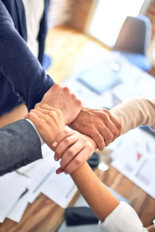 Thai Business Partnerships